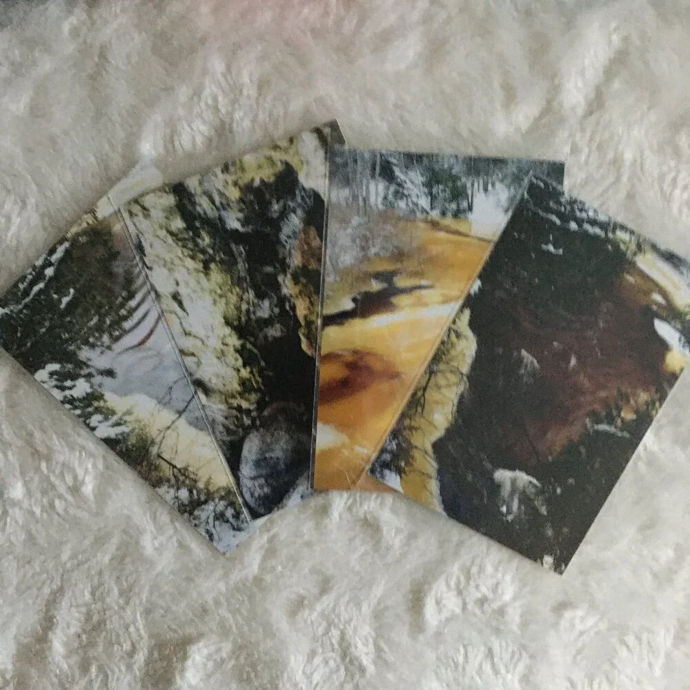 Set of 4 Original Canadian Winter Photographs Icy River Mossy Bark Nature Art - Picture 7 of 7